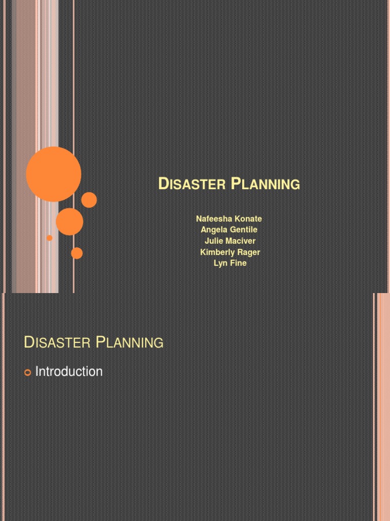 Effective Disaster Planning Strategies | PDF