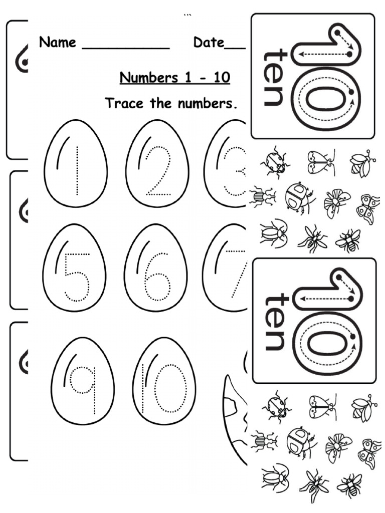 Numbers 1 To 10 | PDF