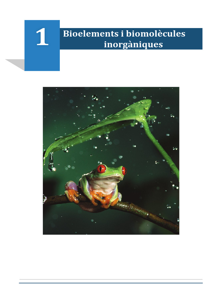 Dossier - 1T - T1 - Bioelements - I - Biomoleì Cules - 12 1 | PDF
