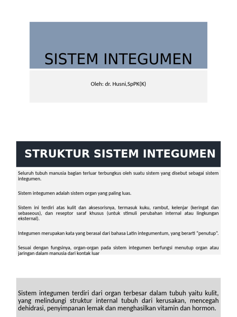 Struktur dan Fungsi Sistem Integumen | PDF