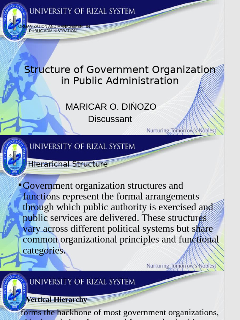 Government Organization in Public Admin | PDF | Policy | Governance