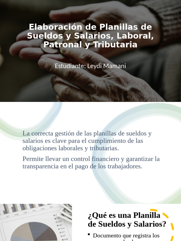 Elaboración de Planillas de Sueldos y Salarios | PDF | Salario ...