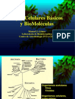 BMB_BioMoleculas