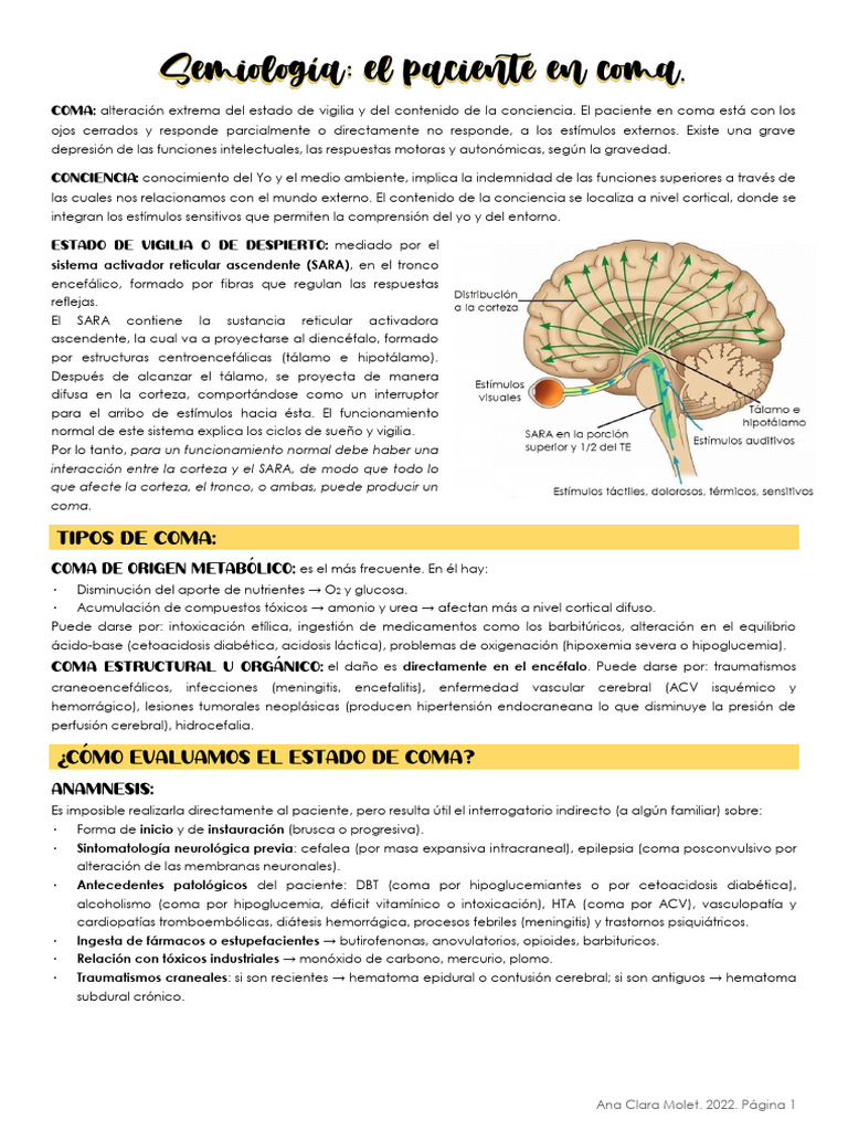 Semiología del Paciente en Coma | PDF | Coma | Hipertensión