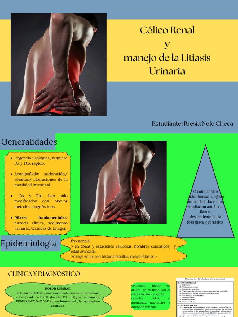 Cólico Renal y Manejo de La Litiasis Urinaria | PDF | Sistema ...