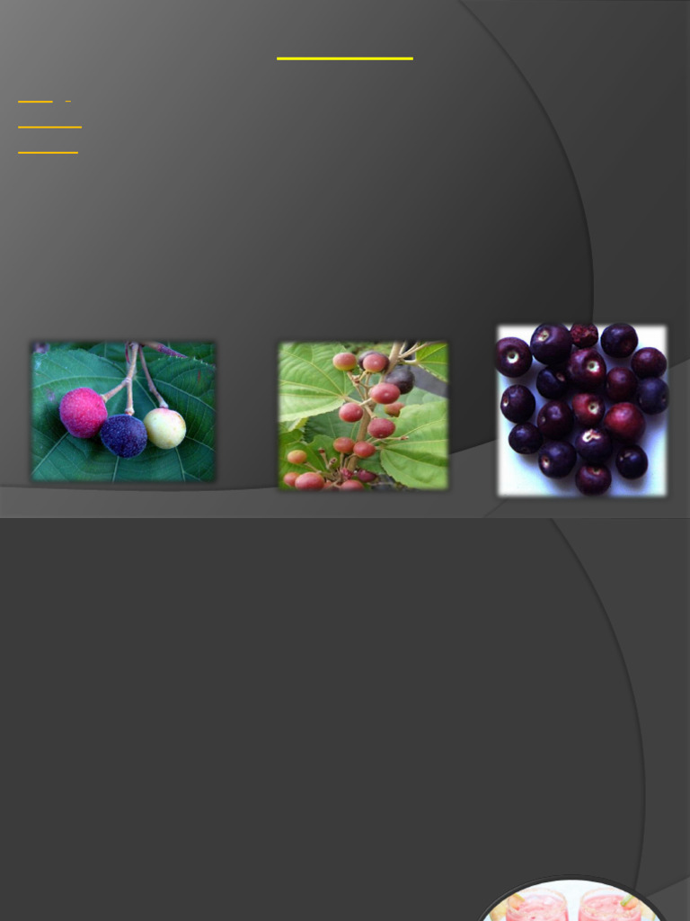 Phalsa Fruit Cultivation Guide | PDF