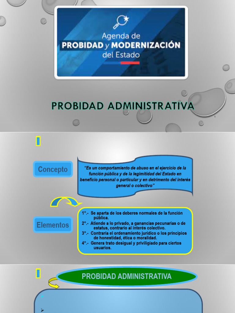 Clase 1. - Probidad Administrativa | PDF | Parentesco | Justicia