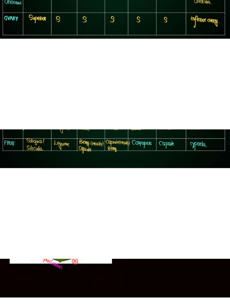 Morphology of Flowering Plants 07 Class Notes Yakeen NEET 2.0 2025 ...