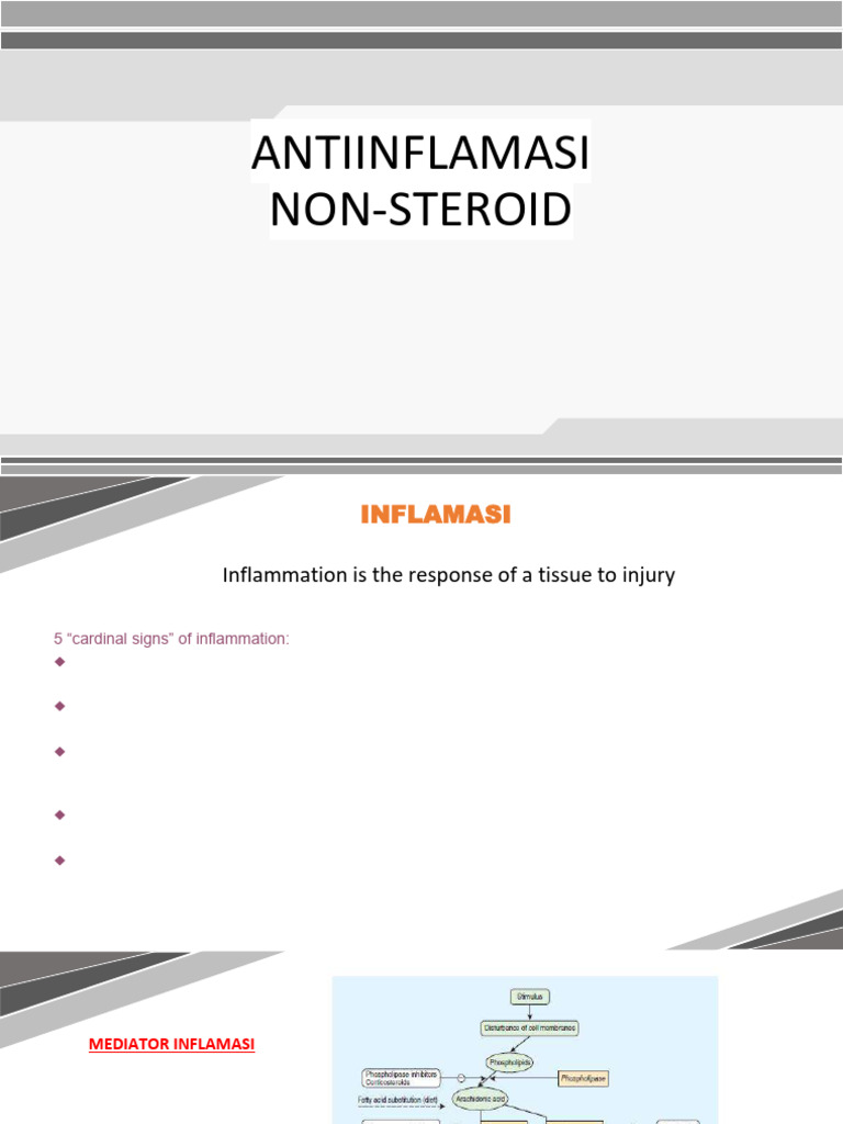 Panduan Lengkap NSAID dan Aksi Antiinflamasi | PDF