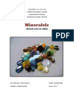 Referat Mineralogiee