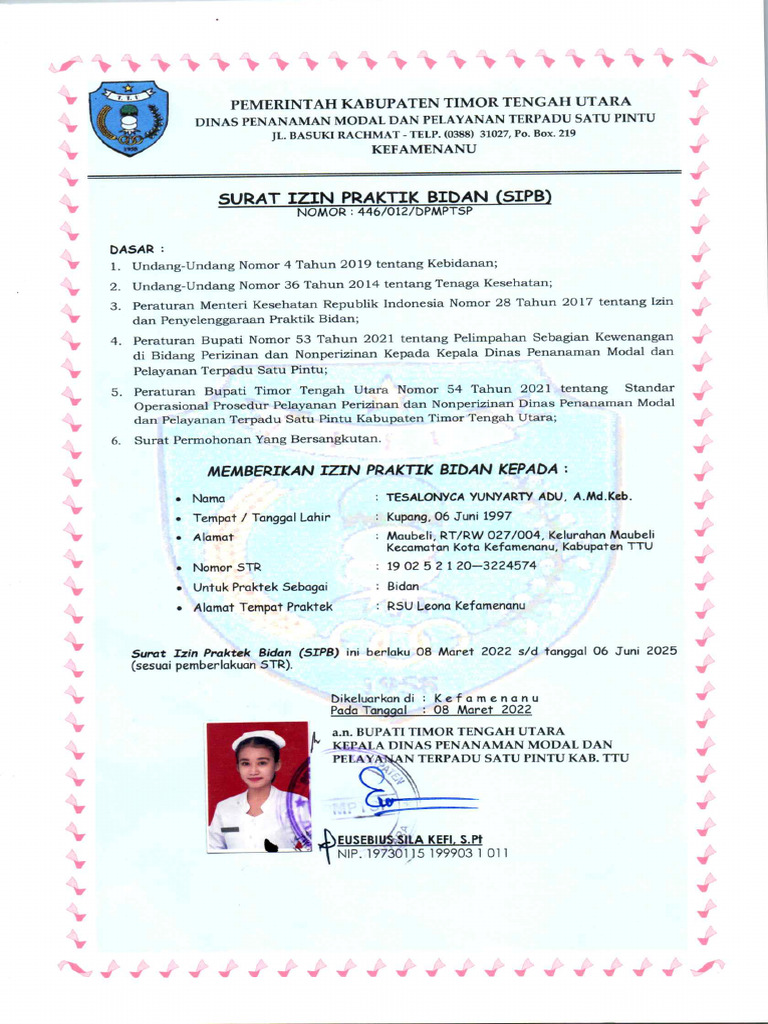 SIP Bidan | PDF