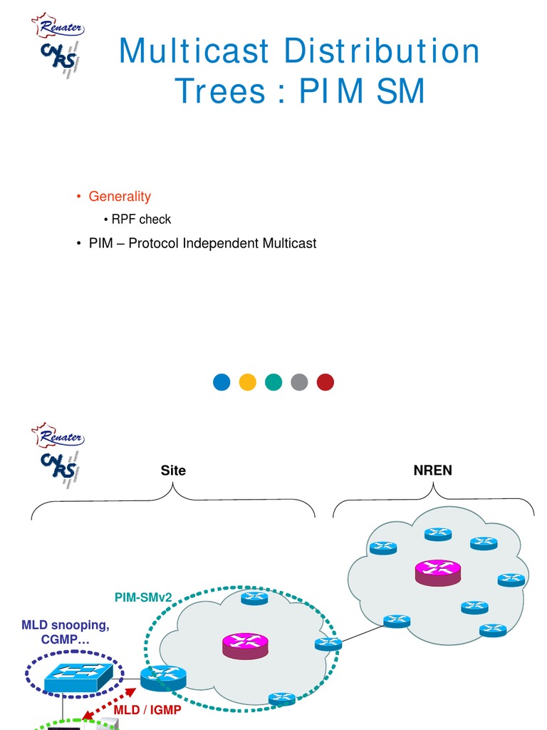 PIM SM Multicast Routing Overview | PDF | Domain Name System | I Pv6