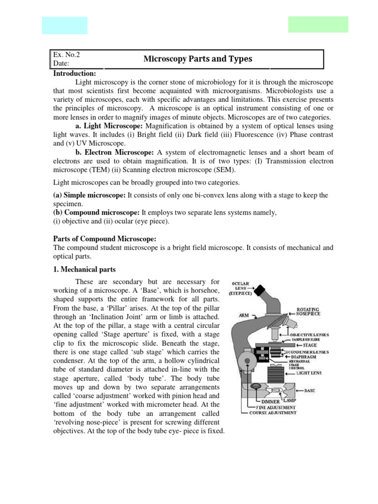 Principles of Light Microscopy | PDF | Microscope | Microscopy