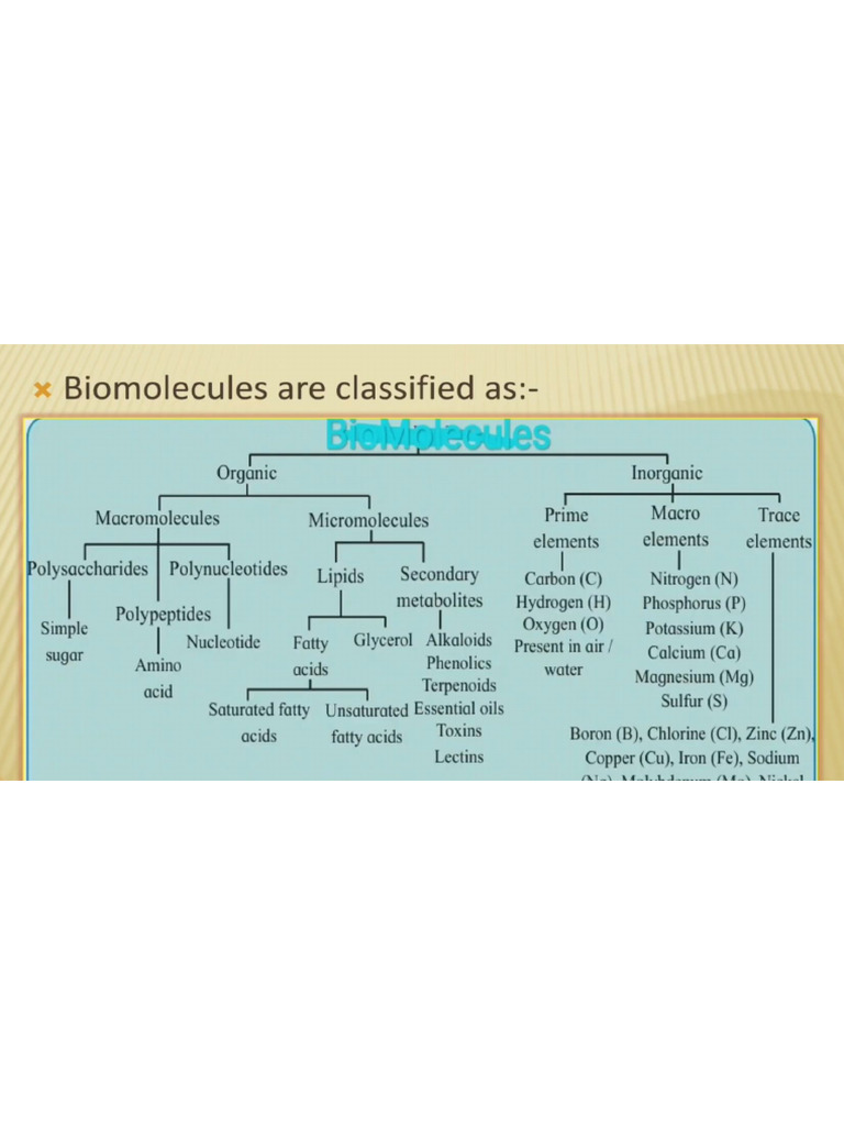 Biomolecules 11th Biology | PDF