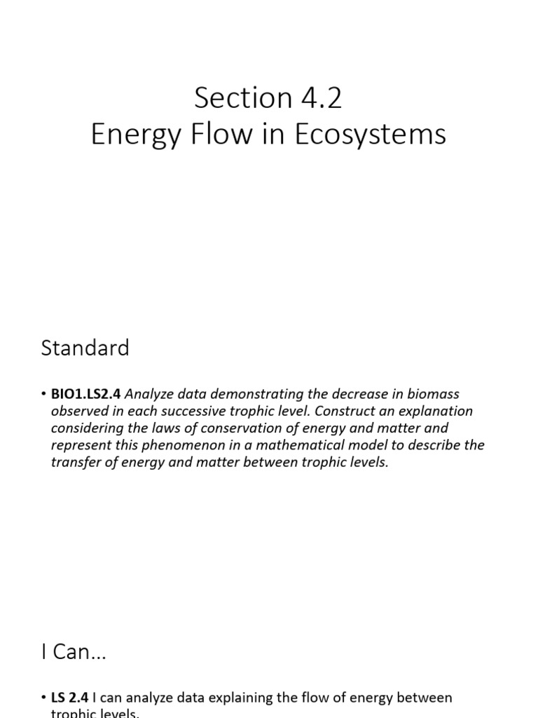 Energy Flow and Trophic Levels Explained | PDF | Food Web | Ecosystem
