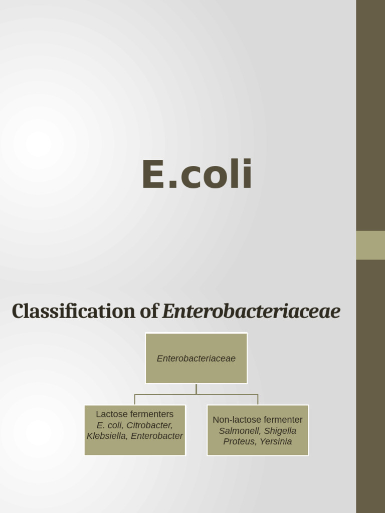 e-coli | PDF | Escherichia Coli | Immunology