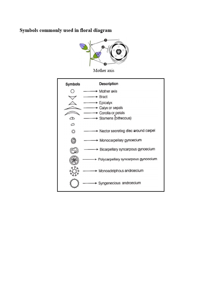 Angiosperm Families Floral Diagram Symbols | PDF | Flowers | Plants