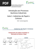 Aula 1- Indústrias de Papel e Celulose
