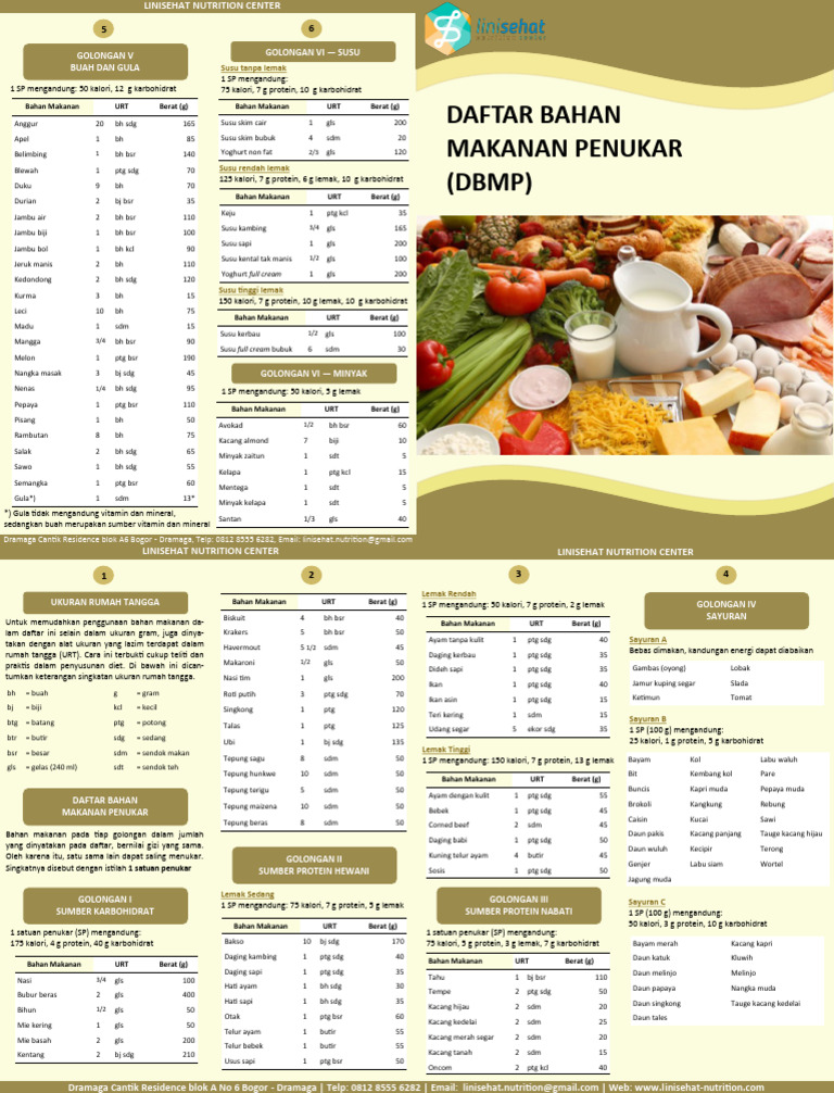 DCR - Leaflet DBMP f4 | PDF