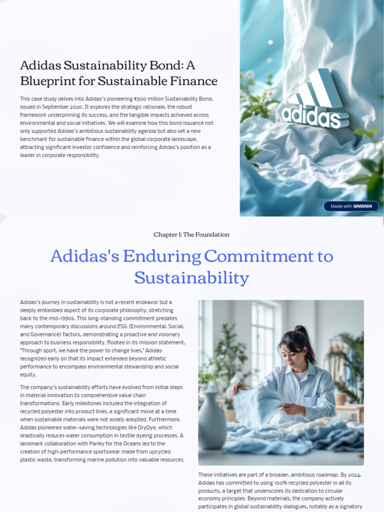 Adidas Sustainability Bond | PDF | Sustainability | Innovation