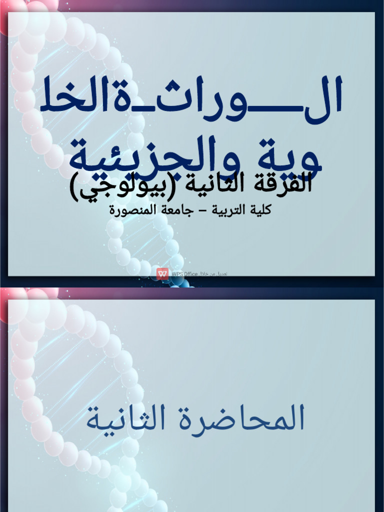 المحاضرة الثانية ان ش ا | PDF