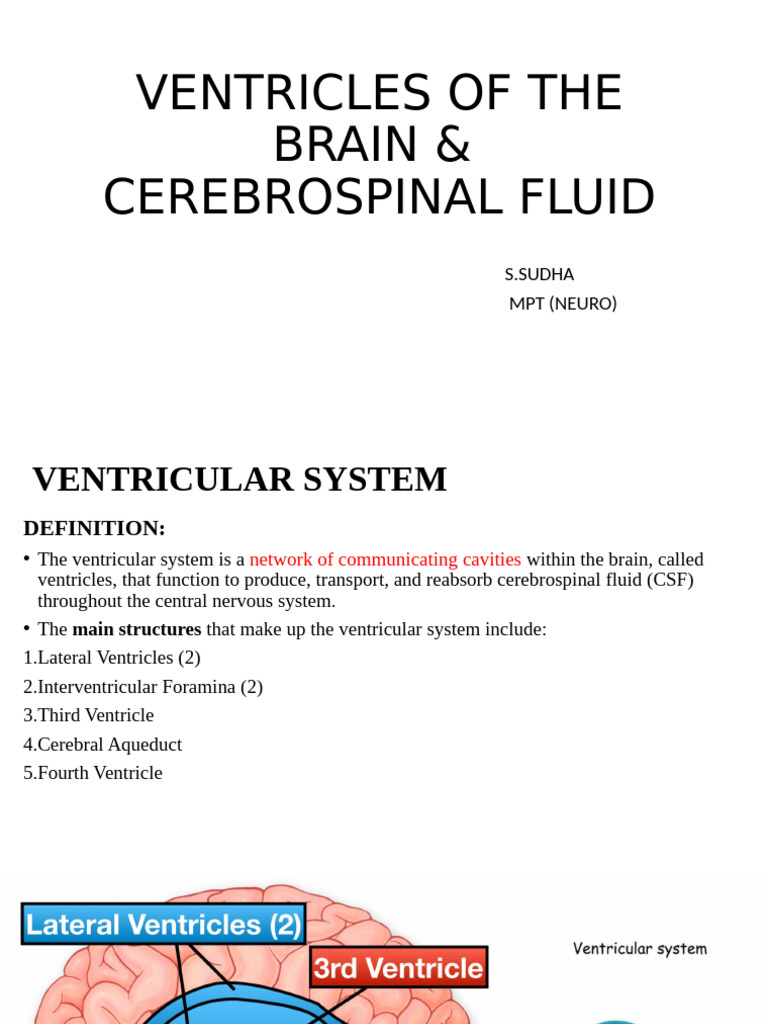Ventricles of The Brain | PDF | Cerebrospinal Fluid | Central Nervous ...