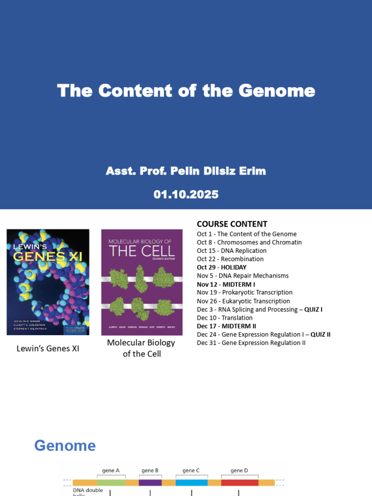 Understanding Genome Structure and Function | PDF | Gene | Open Reading ...