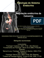 endocrino_calcio