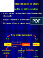 Sexual Differentiation in Utero: Factor Responsible For Differentiation