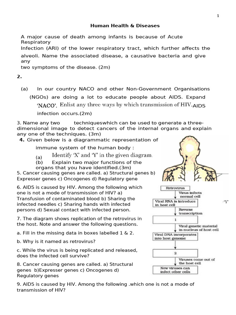 Human Health | PDF