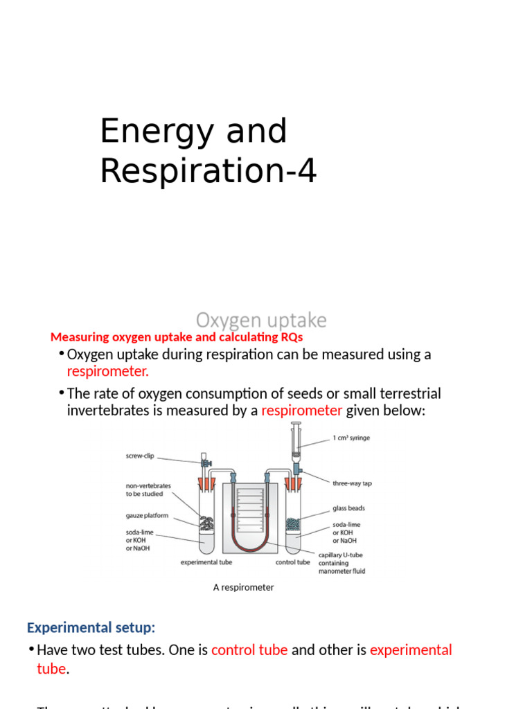 Energy and Respiration 4 | PDF | Carbon Dioxide | Oxygen