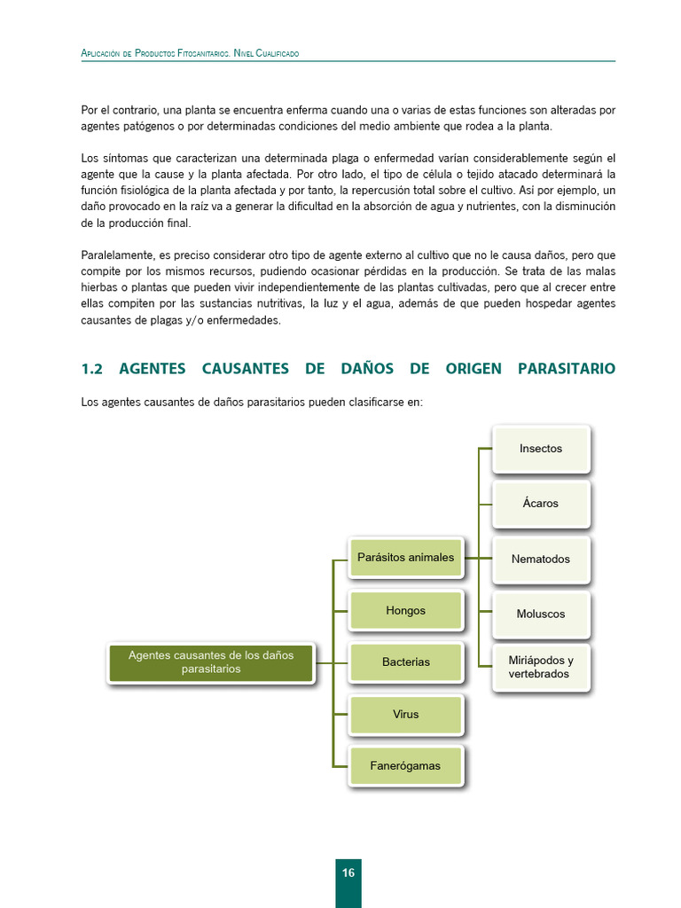 Documento PDF 2 | PDF