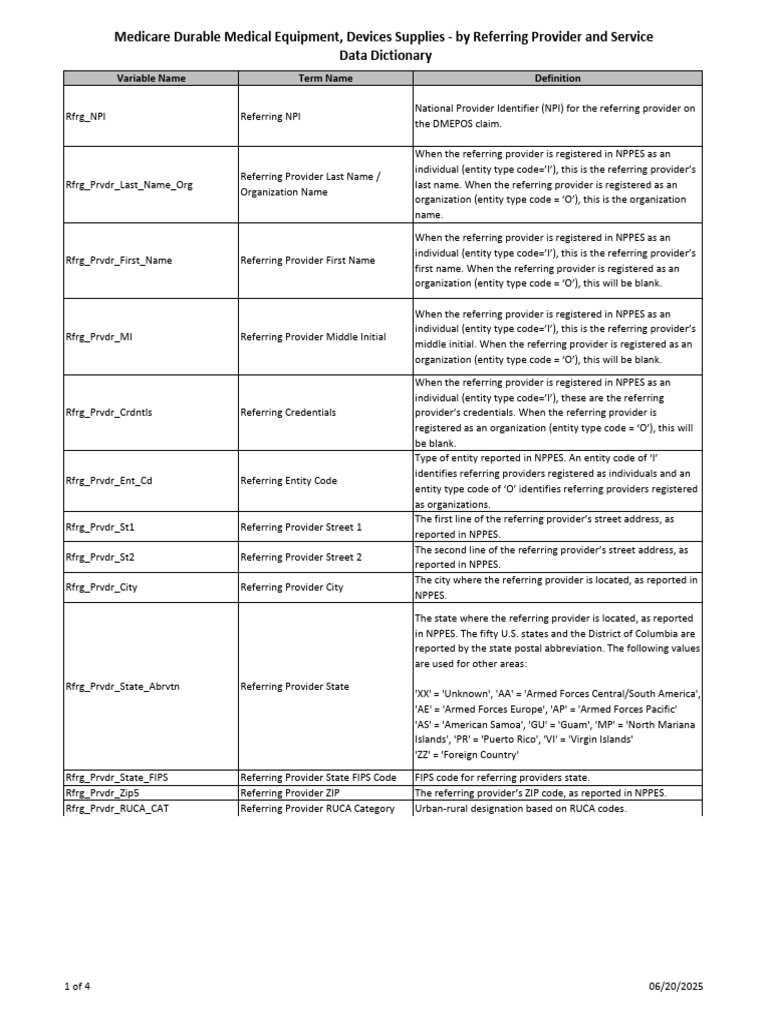 MUP DME RY25 Data-Dictionary 20250620 RFRHPR 508 | PDF | Medicare ...