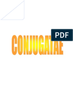 Conjugatae