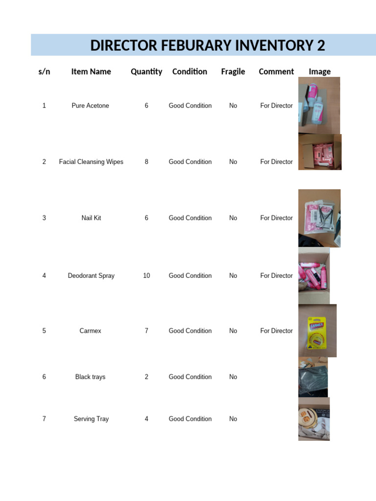 February Inventory for Director Items | PDF