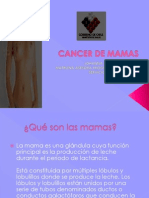 Presentacion Cancer de Mamasmitsiu7