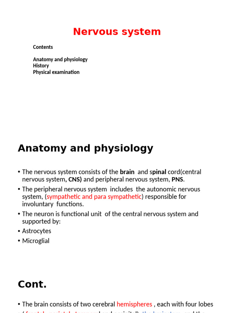 Overview of the Nervous System | PDF
