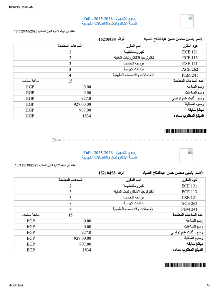 PPP | PDF