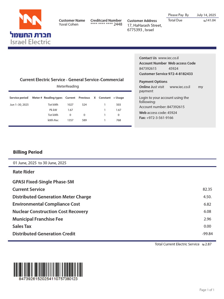 Israel Electric Bill Summary - June 2025 | PDF | Power (Physics ...