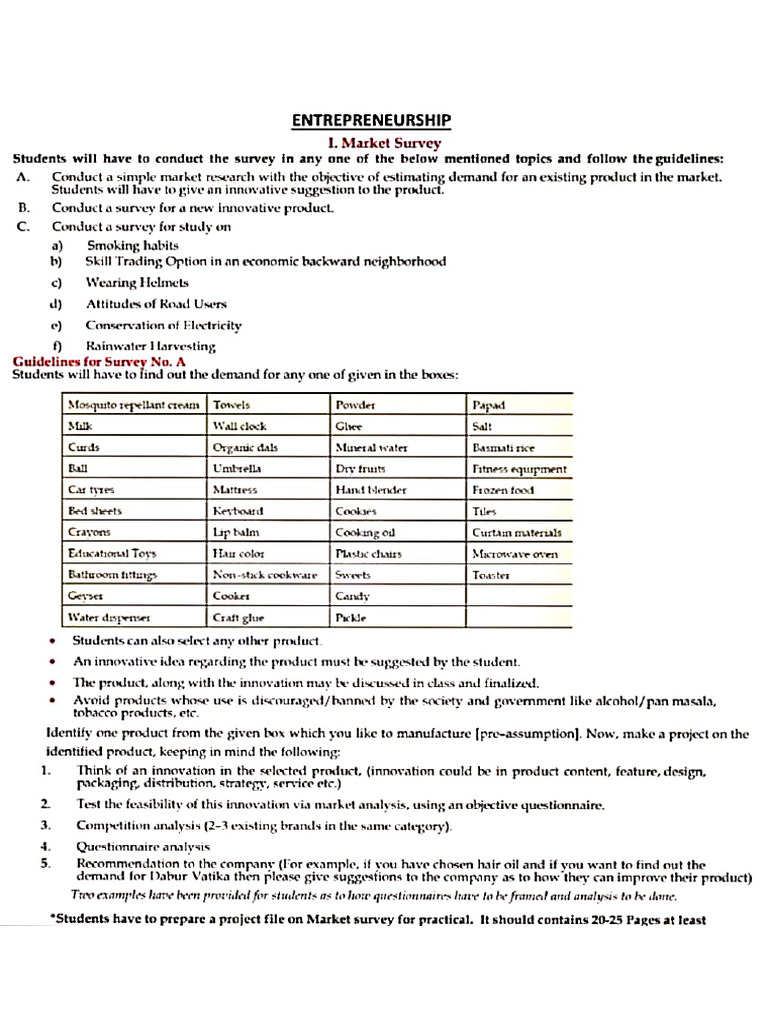 Project 1 Entrepreneurship Cl12 | PDF