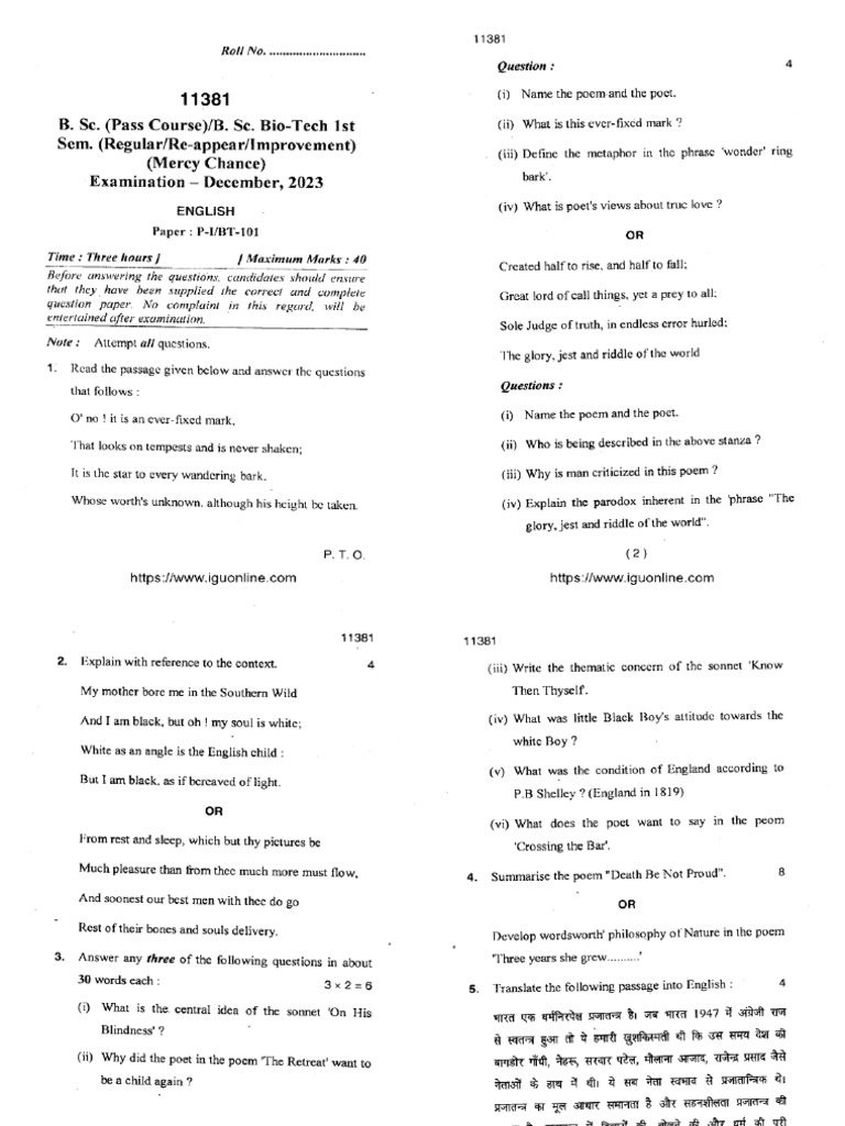 BSC 1 Sem English 11381 Dec 2023 | PDF