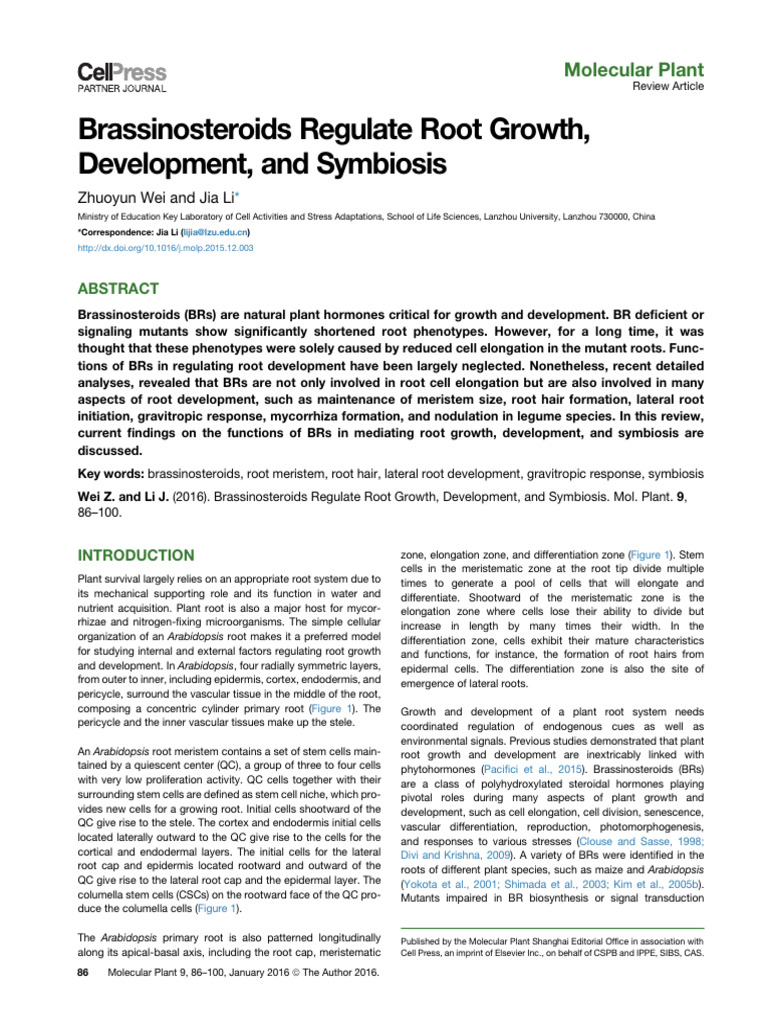 Brassinosteroids Regulate Root Growth, Development, and Symbiosis | PDF ...