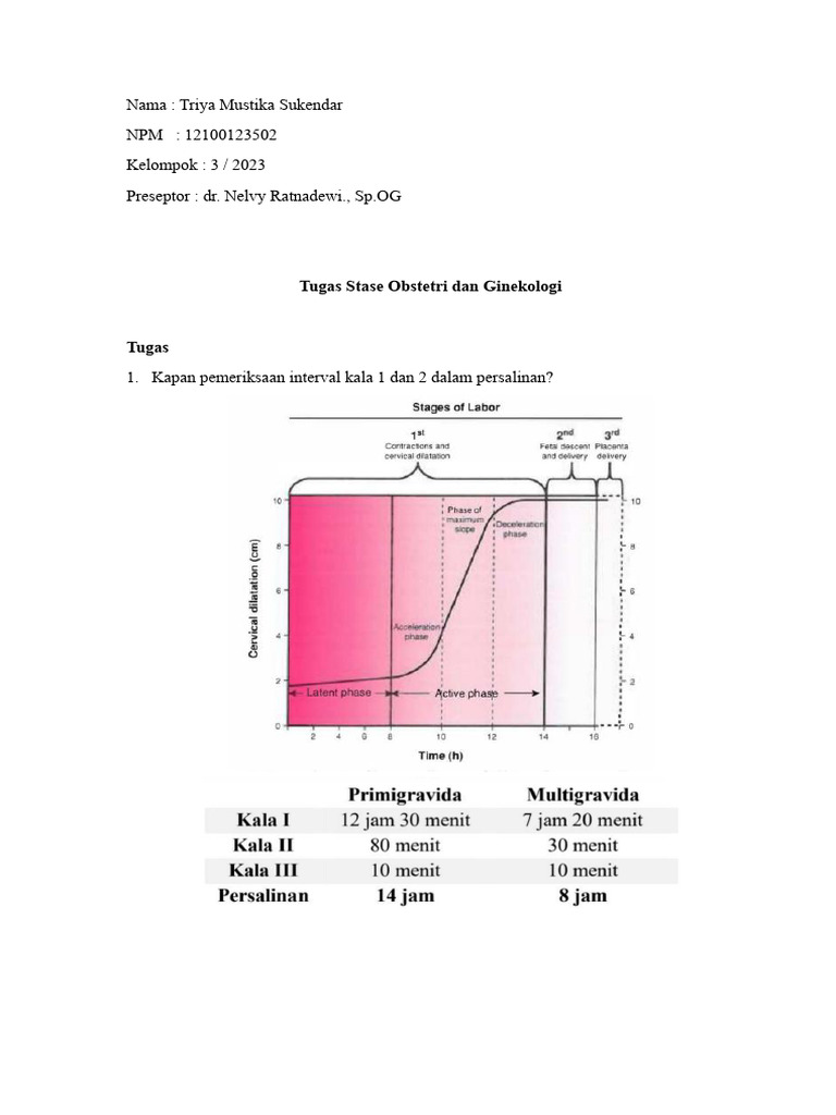 Triya Mustika S_123502 | PDF