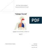 Plan+sistema Respiratorio+3º Grado