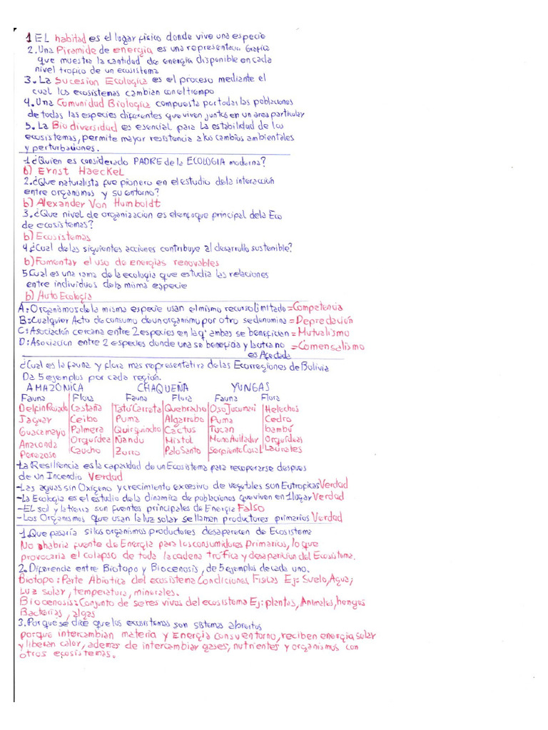 Modelo B | PDF