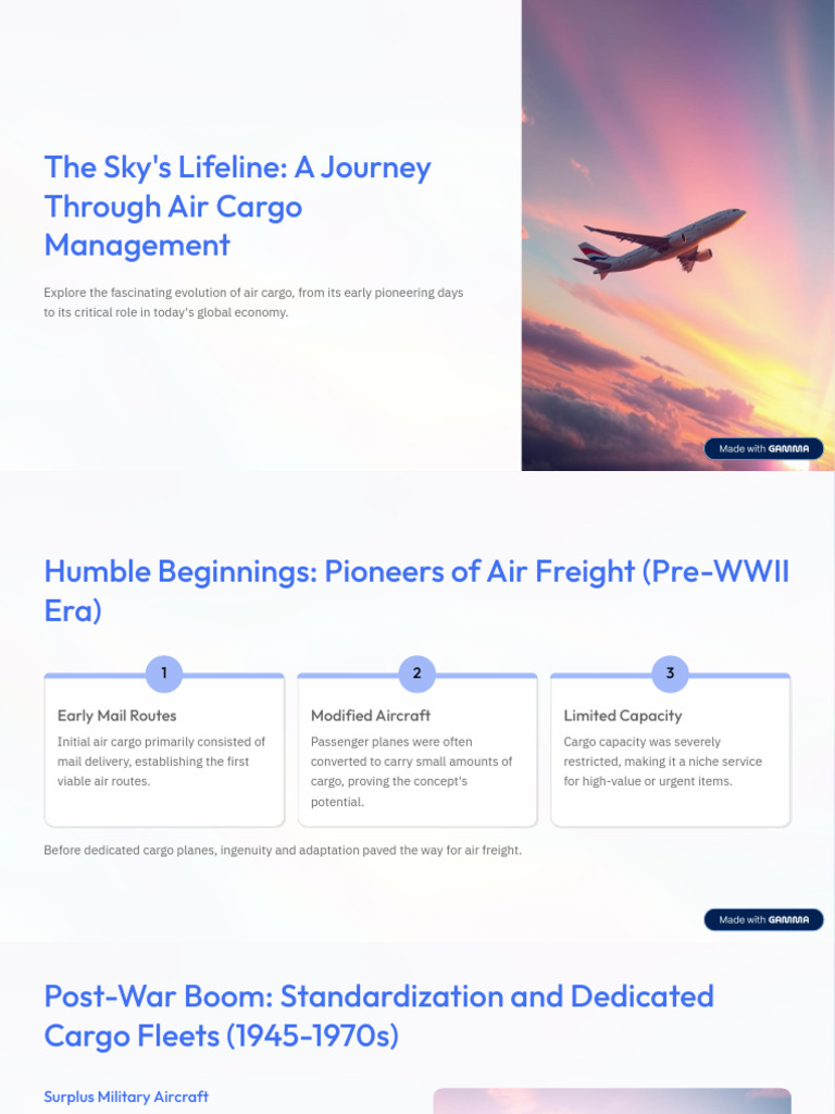 The Skys Lifeline A Journey Through Air Cargo Management | PDF | Cargo ...
