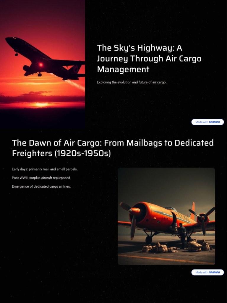 The Skys Highway A Journey Through Air Cargo Management | PDF | Cargo ...