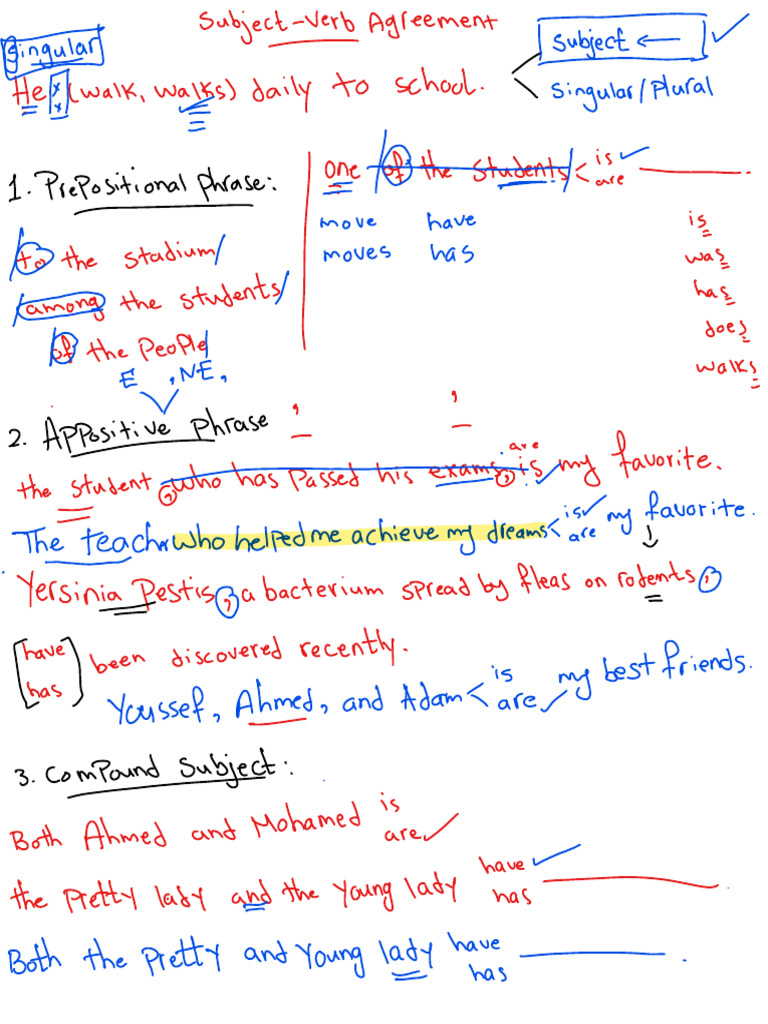 Subject and Verb Agreement. Done | PDF