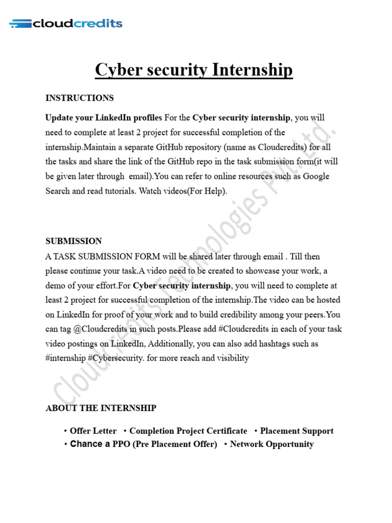 Cybersecurity Internship Project Guide | PDF | Software Testing ...