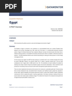 Download Egypt Pest Analysis Data Monitor May 07 by Miran Mounir Al-Sawah SN94067646 doc pdf